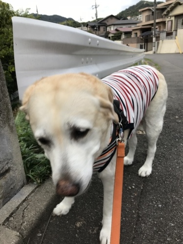 f0315081_21453178.jpeg