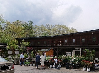 a0264383_10534232.jpg