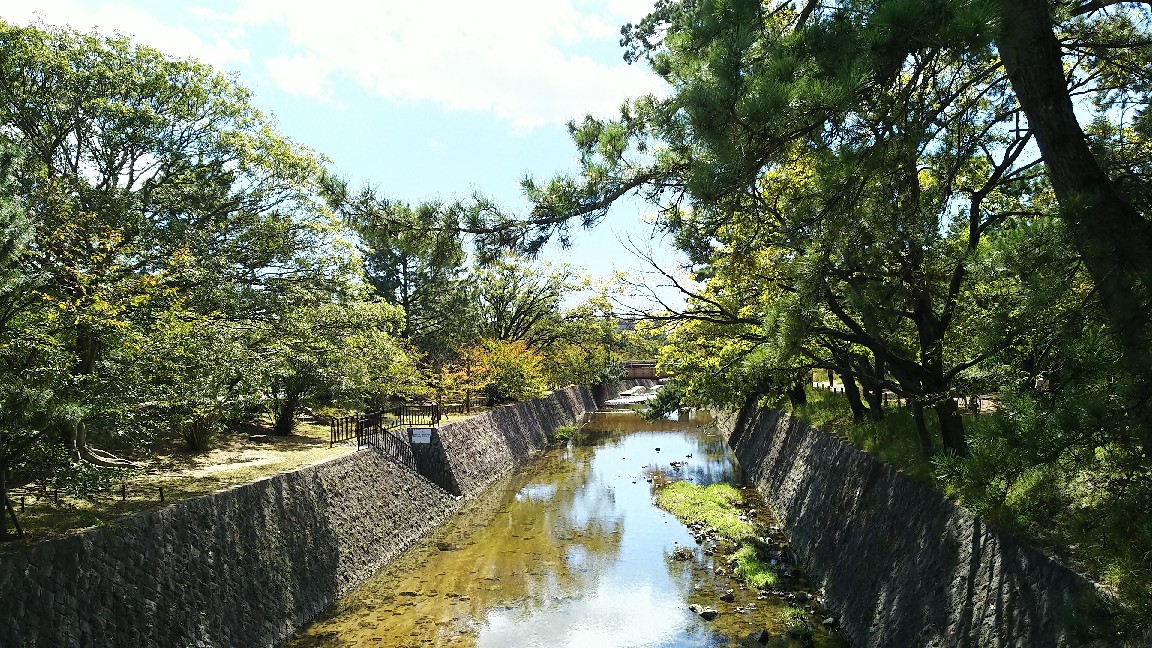 夙川でイタリアン。_c0109891_21563946.jpg