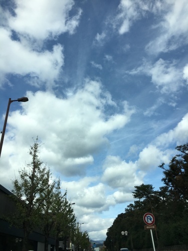 f0347891_21592590.jpeg