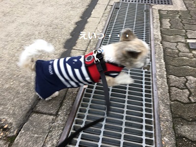 忙しかった金曜日。_f0372998_22275899.jpg