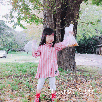 b0162000_17201119.gif