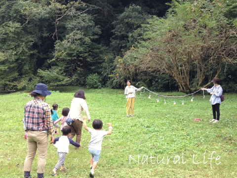 b0162000_17201557.gif