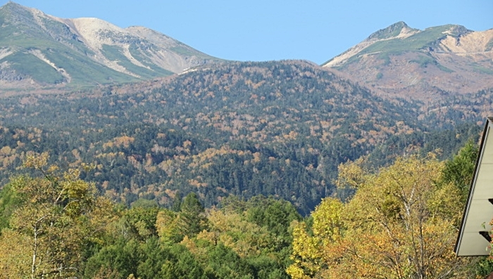 a0240403_08203033.jpg