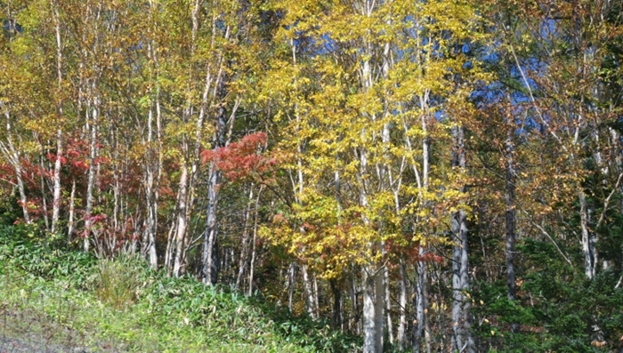 a0240403_08203868.jpg
