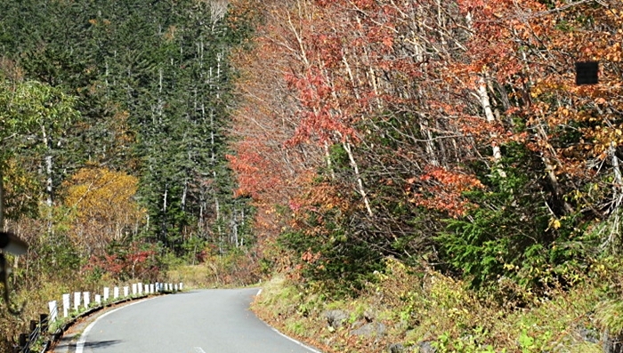 a0240403_08204823.jpg