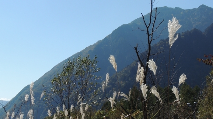a0240403_08222718.jpg