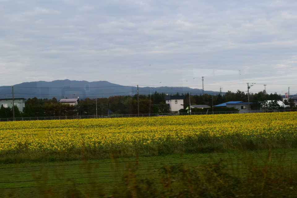 灯台の聖母トラピスト修道院(函館の建築再見)_f0142606_12553188.jpg