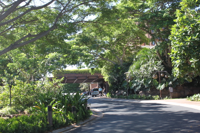c0180009_13423604.jpg
