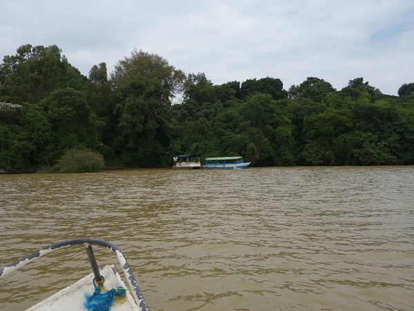 d0360509_41165.jpg