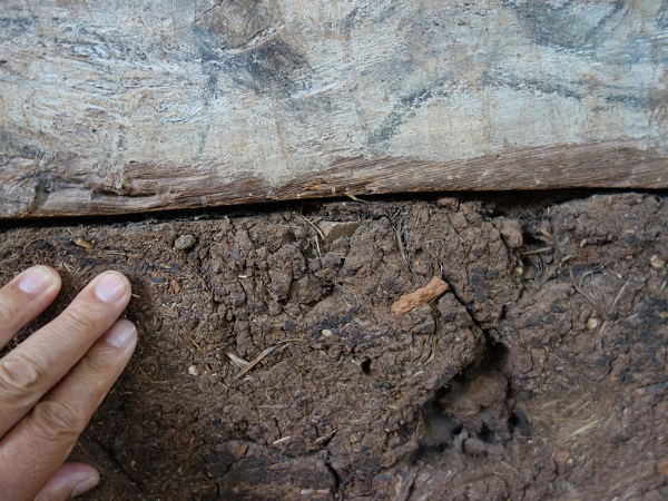 d0360509_4285145.jpg