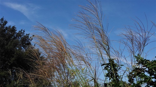 e0360409_13334748.jpg