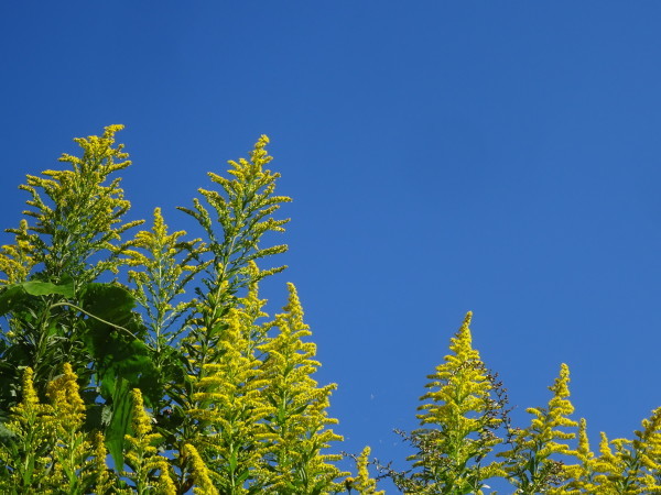 f0231709_22183900.jpg