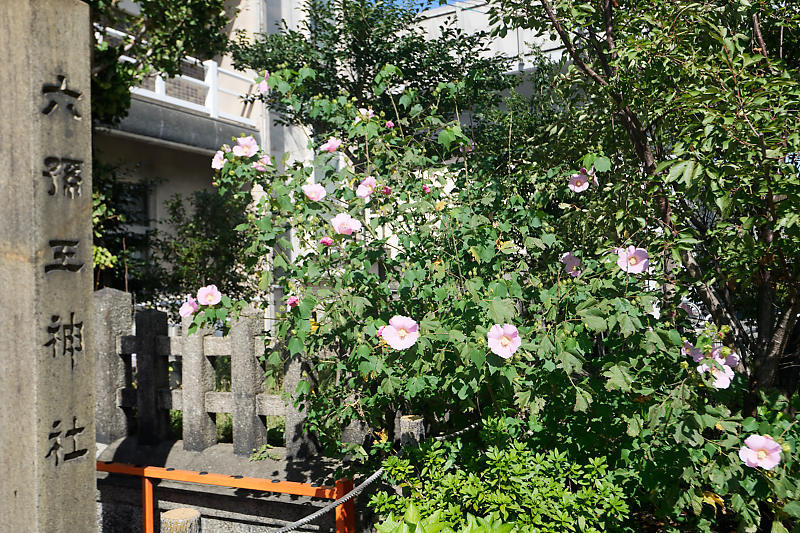 f0032011_21450730.jpg