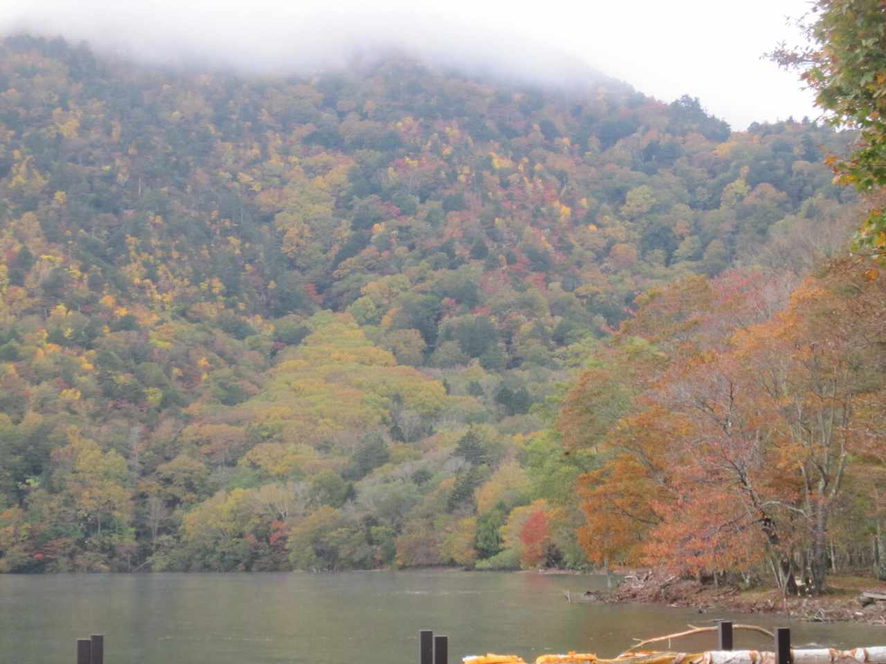 d0333714_18544158.jpg