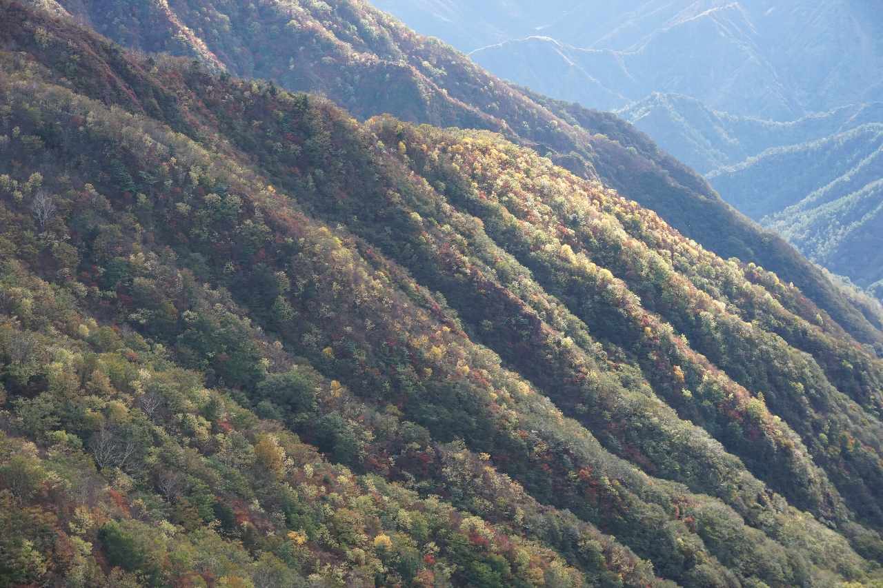 d0333714_18585308.jpg