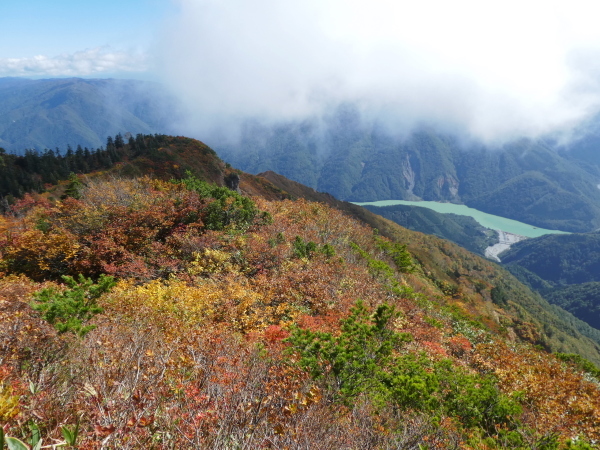 至福の時間過ごした　野谷荘司山　下山 編_d0170615_08234592.jpg