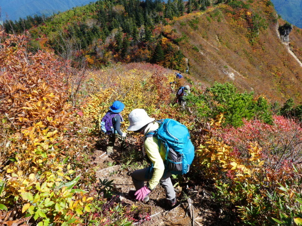 至福の時間過ごした　野谷荘司山　下山 編_d0170615_08240654.jpg