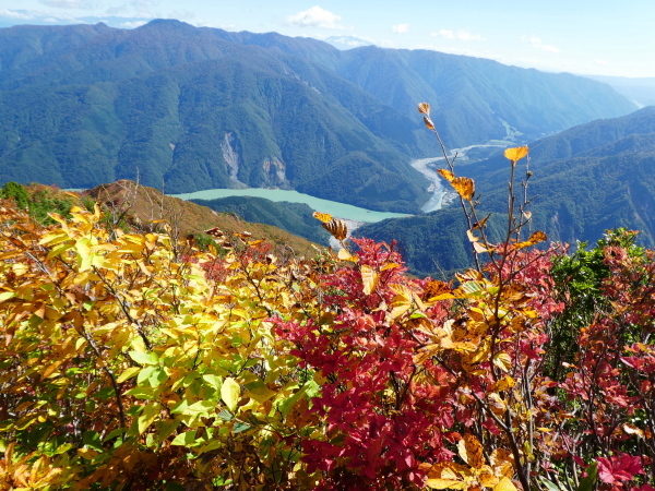 至福の時間過ごした　野谷荘司山　下山 編_d0170615_08242599.jpg