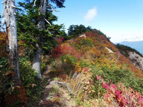 至福の時間過ごした　野谷荘司山　下山 編_d0170615_08243311.jpg