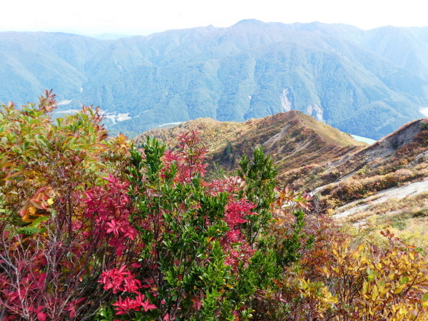 至福の時間過ごした　野谷荘司山　下山 編_d0170615_08244112.jpg