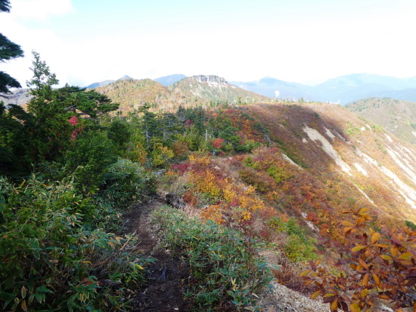 至福の時間過ごした　野谷荘司山　下山 編_d0170615_08245148.jpg