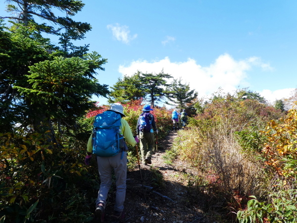 至福の時間過ごした　野谷荘司山　下山 編_d0170615_08253215.jpg