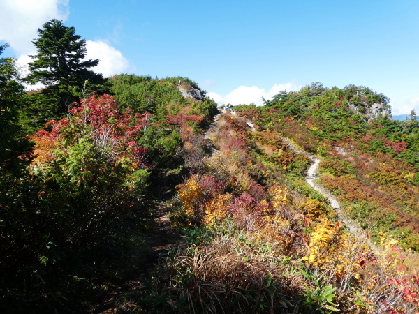 至福の時間過ごした　野谷荘司山　下山 編_d0170615_08254917.jpg