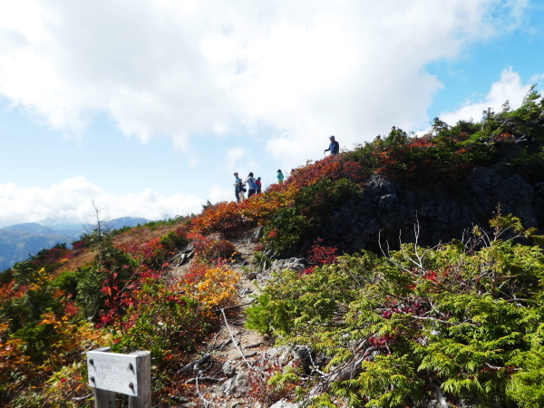 至福の時間過ごした　野谷荘司山　下山 編_d0170615_08261160.jpg