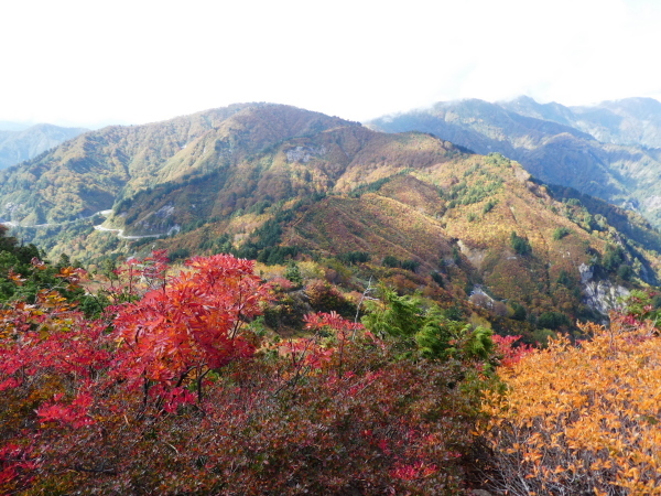 至福の時間過ごした　野谷荘司山　下山 編_d0170615_08284057.jpg