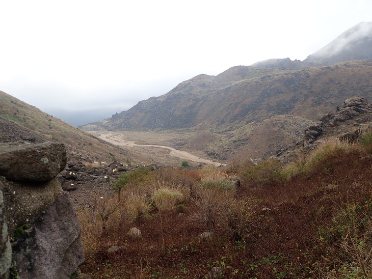 f0193521_5394920.jpg