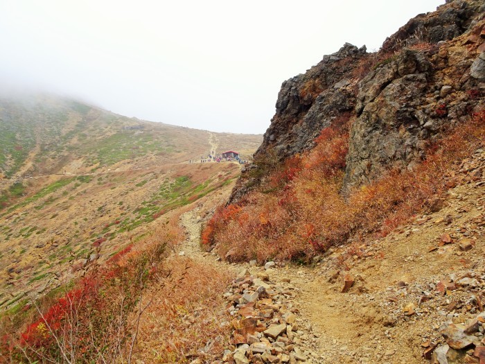 赤く燃える山・・・（３９１７）_e0349324_08044128.jpg