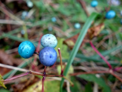 c0204725_105634.jpg