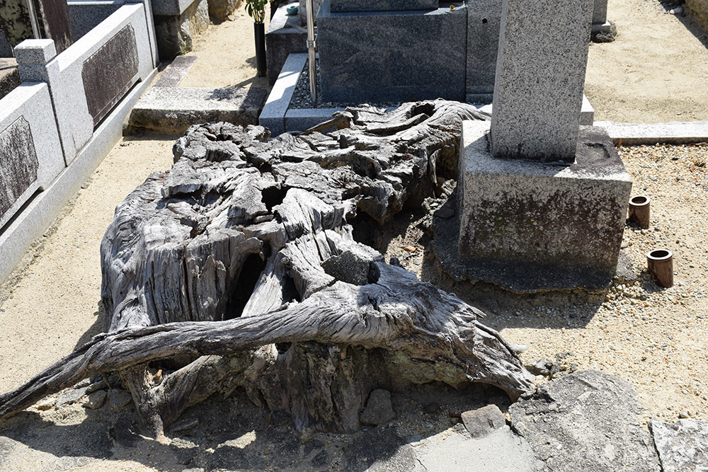 幕末京都逍遥 その160 「戊辰役東軍戦死者埋骨地(大専寺・文相寺・東運寺)」_e0158128_13064266.jpg