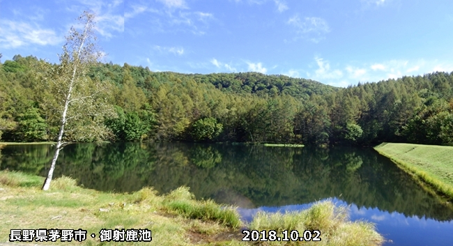 e0033229_17544475.jpg