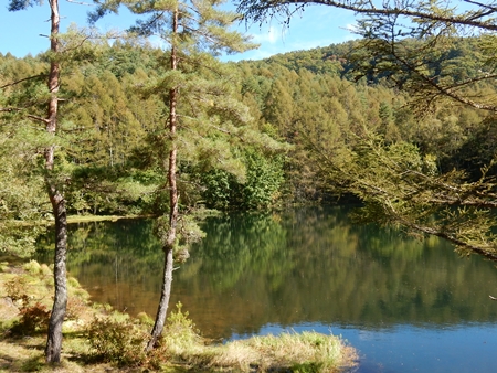 e0033229_18264241.jpg