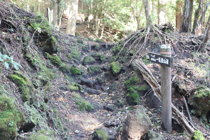 e0272335_18405356.jpg