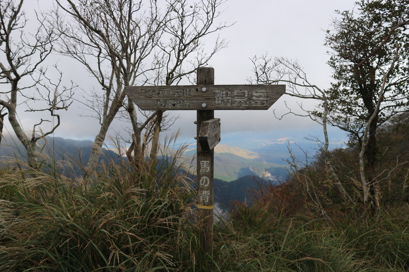 e0272335_20182115.jpg
