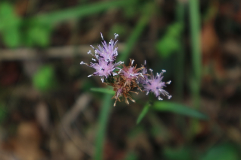 e0272335_2035635.jpg