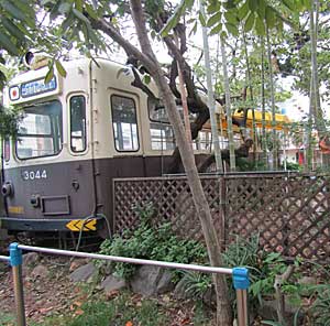 e0325335_8114948.jpg