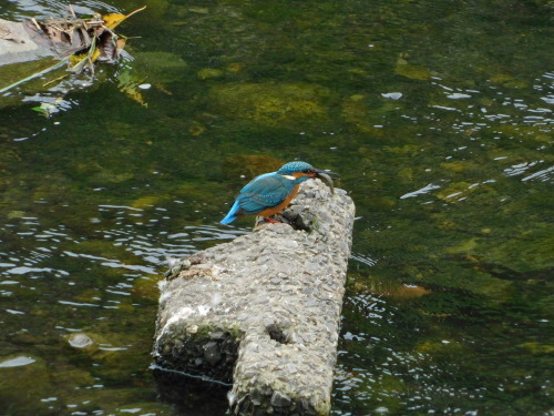 c0338136_15372180.jpg