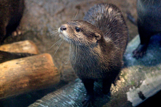 a0369439_23203883.jpg
