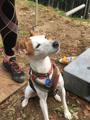 小屋周辺の紅葉状況_c0369344_11212935.jpeg