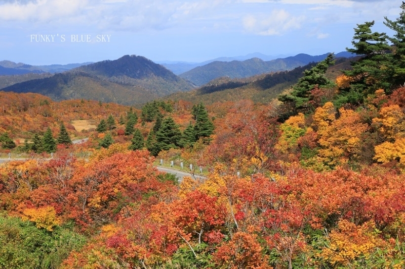 c0145250_10001195.jpg