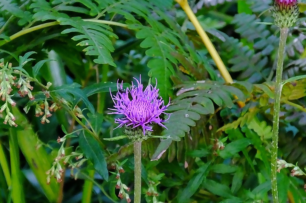 b0236251_09211964.jpg