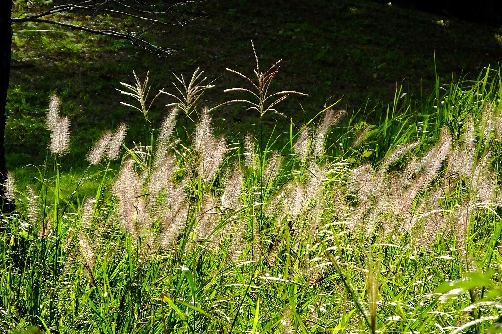 b0236251_09213372.jpg