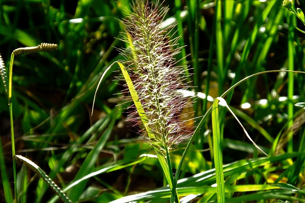 b0236251_09213694.jpg