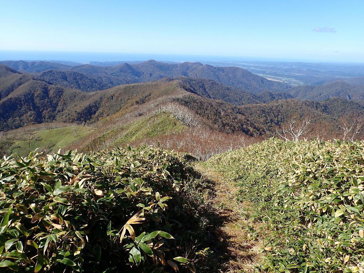 ピセナイ山1027m(18登目)　2018.10.13_e0352951_17482572.jpg