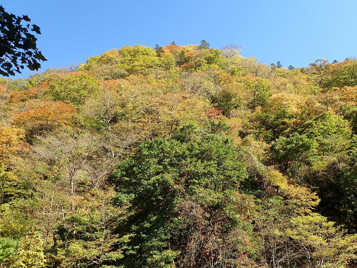 ピセナイ山1027m(18登目)　2018.10.13_e0352951_18213495.jpg