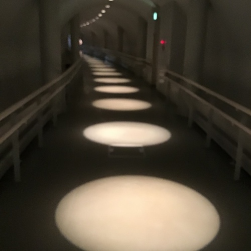 f0352451_22023023.jpeg